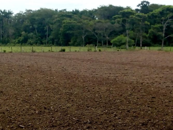 Finca en  Venta en Villavicencio - Miniatura 6
