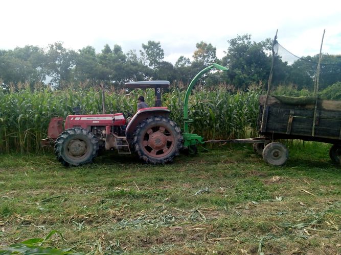 Finca en  Venta en Villavicencio - Miniatura 8