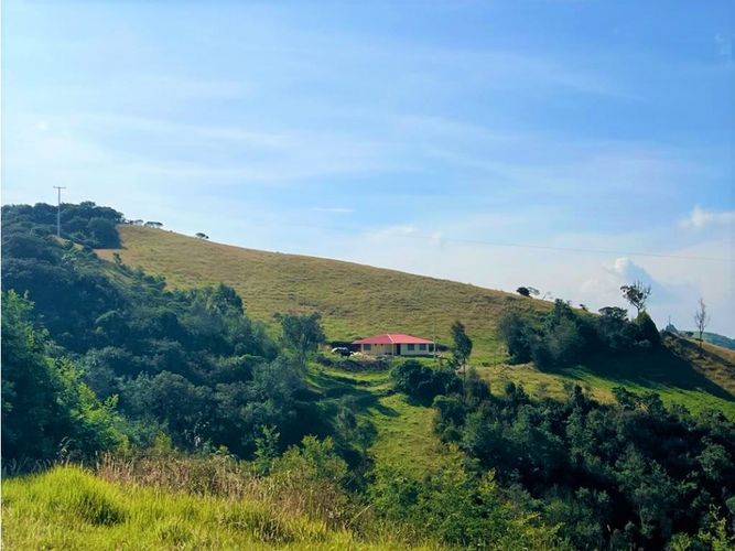 Finca en  Venta en Carmen de carupa - Miniatura 21