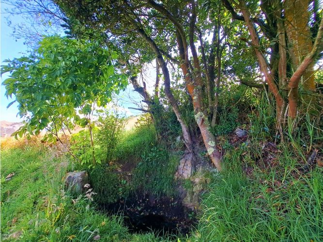 Finca en  Venta en Carmen de carupa - Miniatura 25