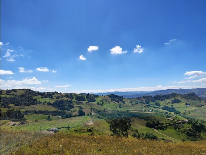 Finca en  Venta en Carmen de carupa - Miniatura 3