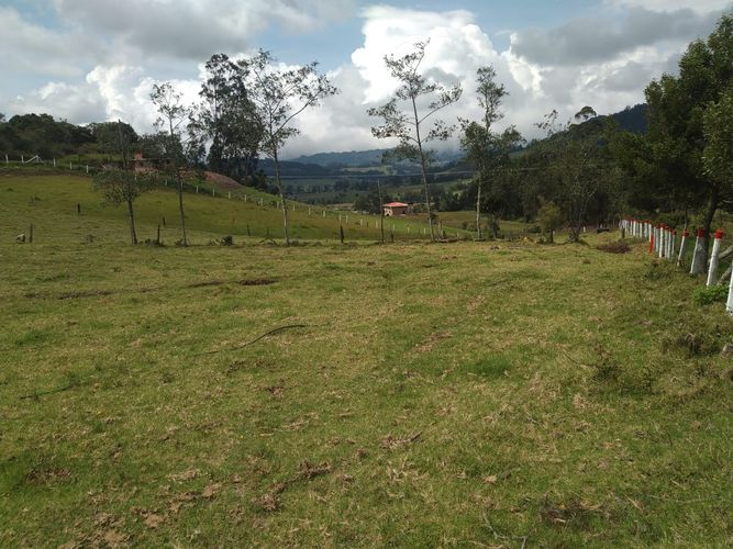 Finca en  Venta en Sucre oriental, Chiquinquirá - Miniatura 4