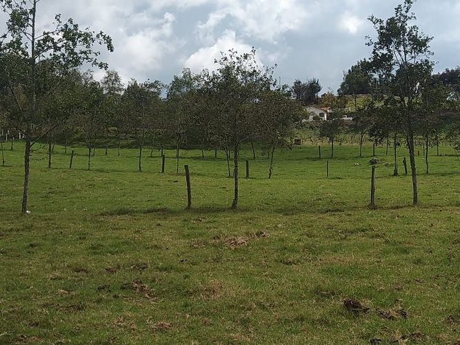 Finca en  Venta en Sucre oriental, Chiquinquirá - Miniatura 6