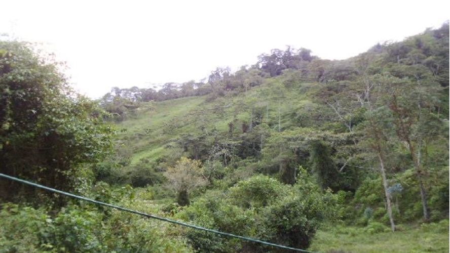Finca en  Venta en Panama, Silvania - Miniatura 5