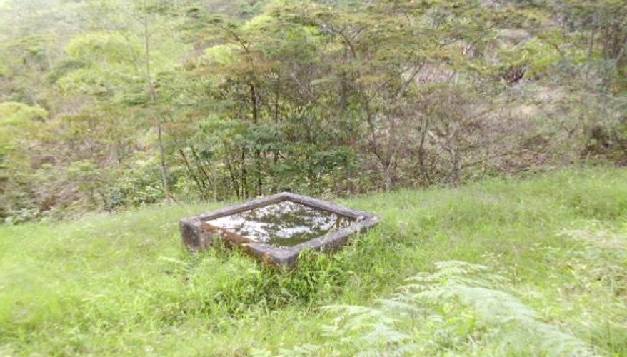 Finca en  Venta en Panama, Silvania - Miniatura 7