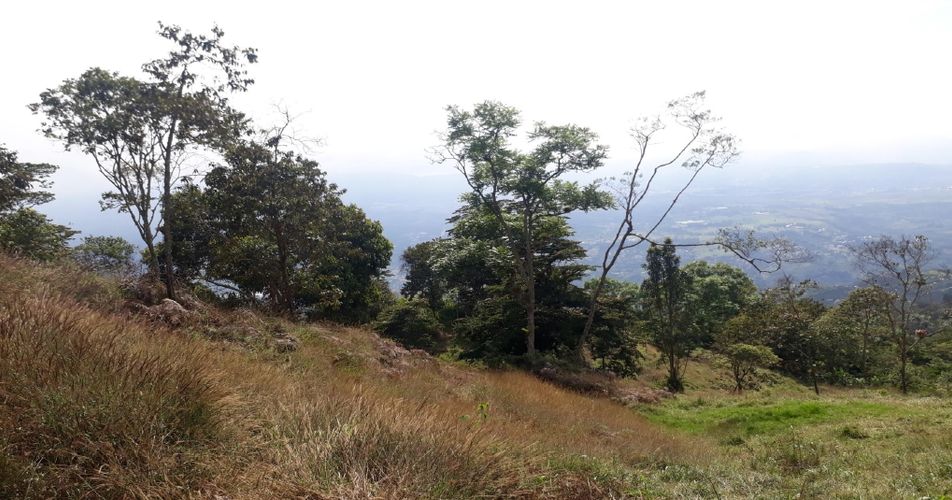 Finca en  Venta en Panama, Silvania - Miniatura 13