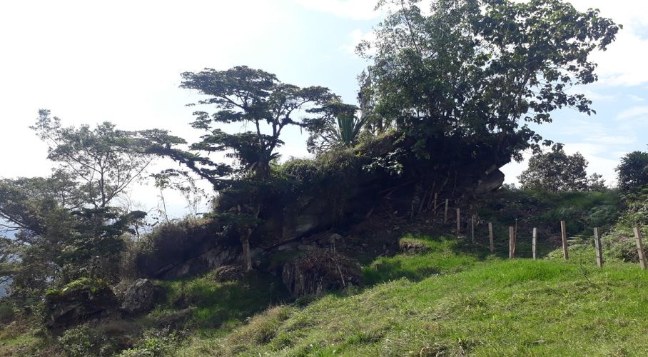 Finca en  Venta en Panama, Silvania - Miniatura 14