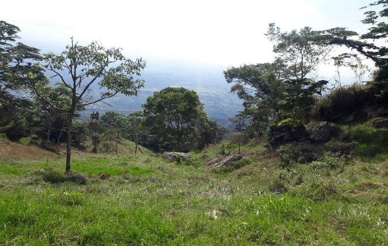 Finca en  Venta en Panama, Silvania - Miniatura 15
