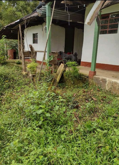 Finca en  Venta en Panama, Silvania - Miniatura 2