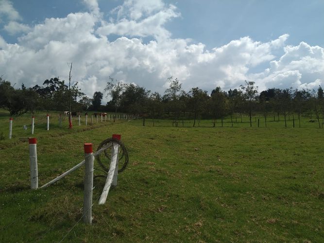 Finca en  Venta en Sucre oriental, Chiquinquirá - Miniatura 12