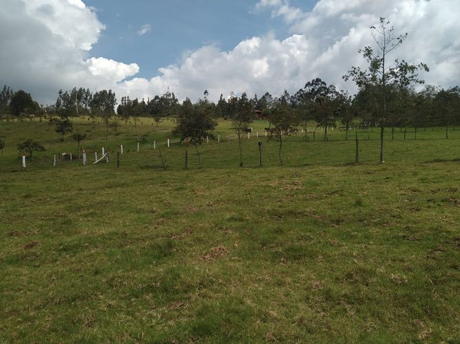 Finca en  Venta en Sucre oriental, Chiquinquirá - Miniatura 7