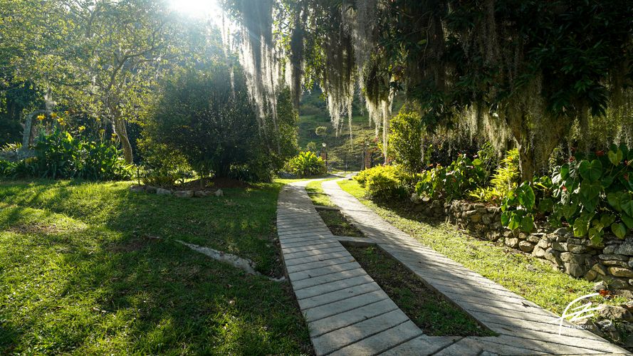Finca en  Venta en Barbosa - Miniatura 22