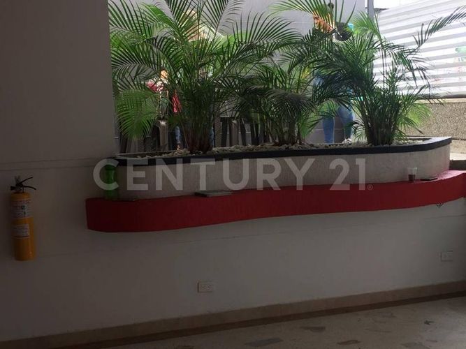 Oficina en  Arriendo en El Templete, Cali - Miniatura 3