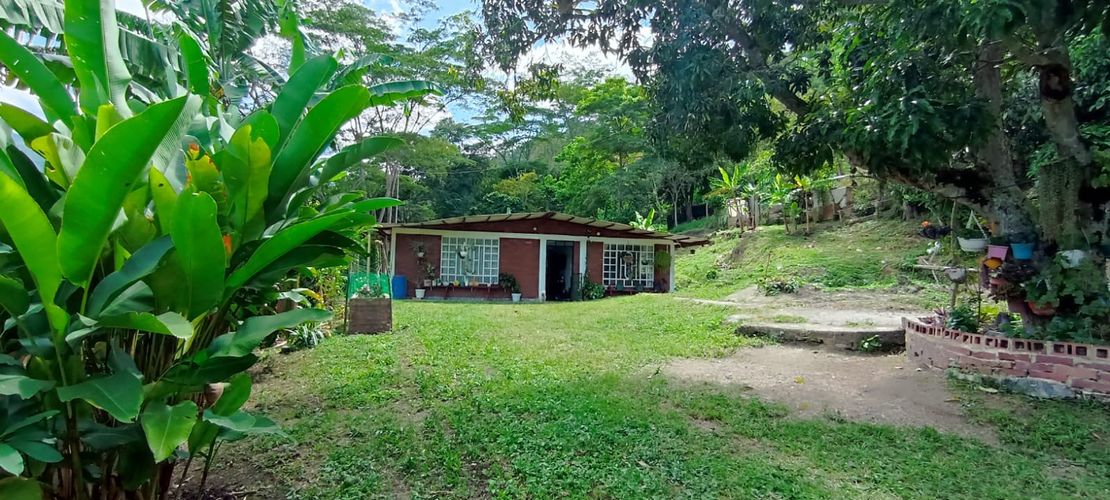 Finca en  Venta en Viani - Miniatura 4