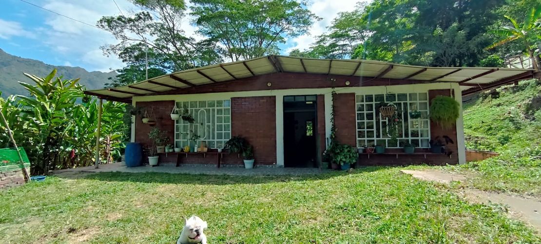 Finca en  Venta en Viani - Miniatura 5