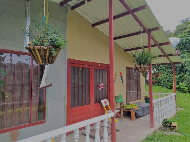 Finca en  Venta en Viani - Miniatura 6