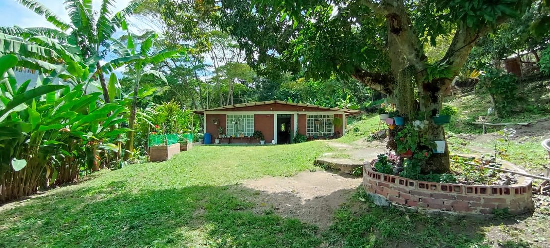 Finca en  Venta en Viani - Miniatura 7
