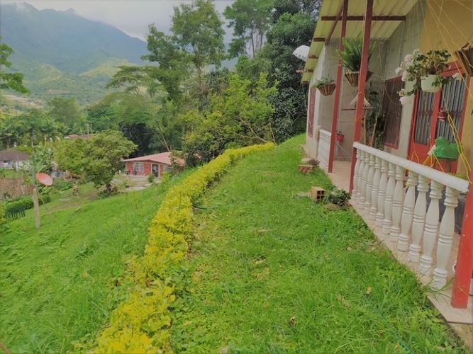 Finca en  Venta en Viani - Miniatura 8