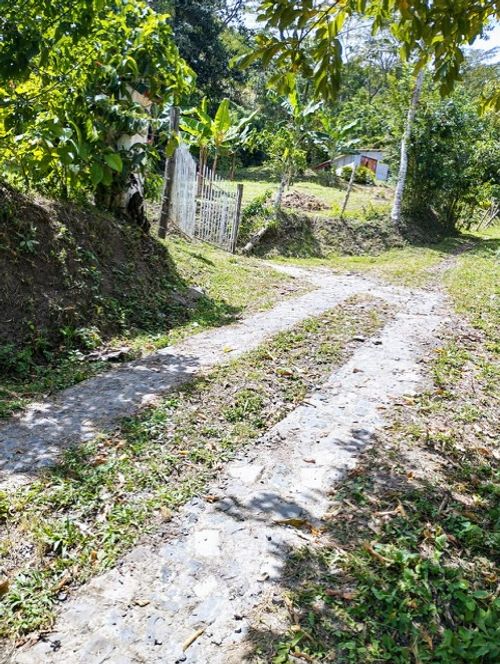 Finca en  Venta en Viani - Miniatura 9