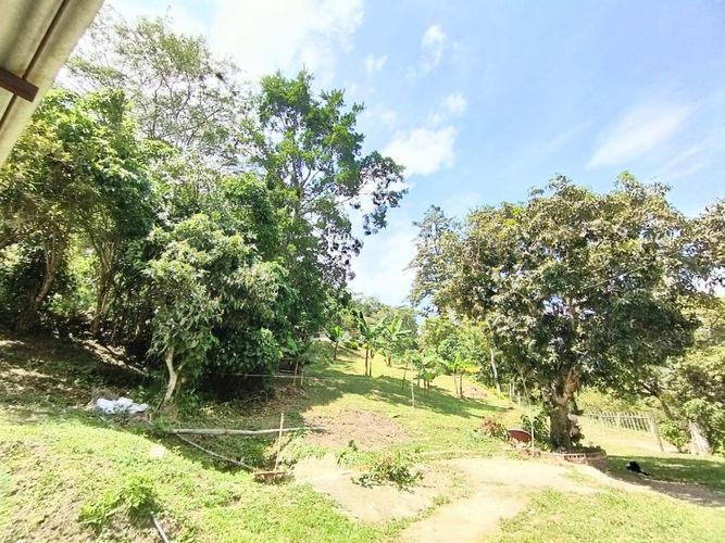Finca en  Venta en Viani - Miniatura 12