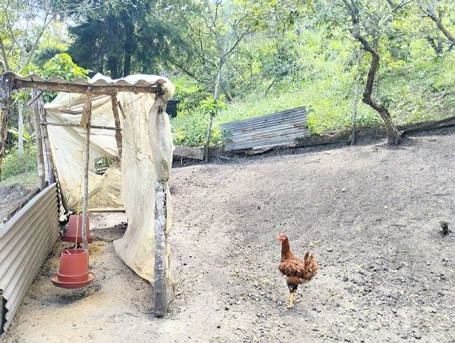 Finca en  Venta en Viani - Miniatura 22
