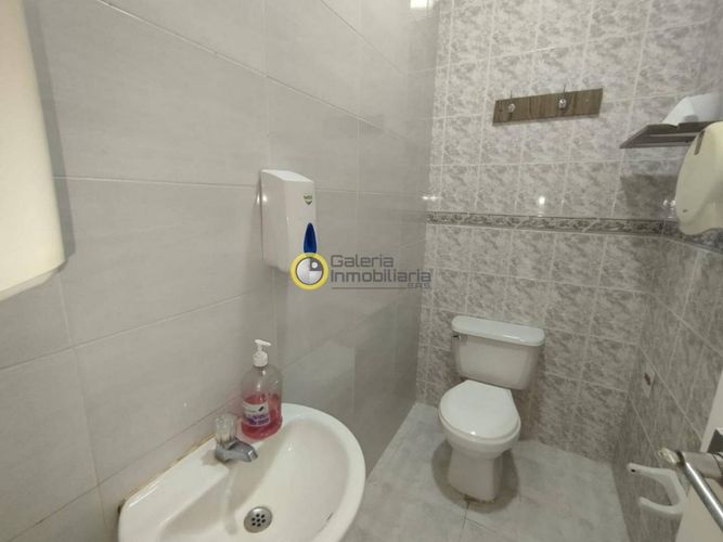 Casa en  Arriendo en Cabecera del llano, Bucaramanga - Miniatura 16