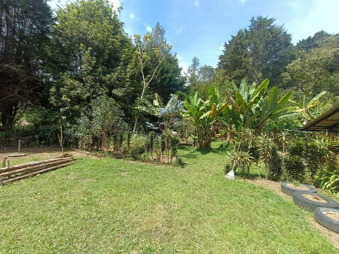 Finca en  Arriendo en Guarne - Imagen 1