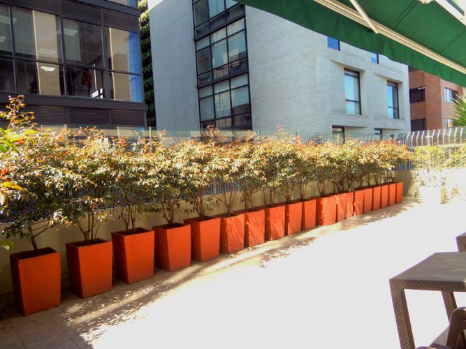 Oficina en  Arriendo en Chico norte, Bogotá - Miniatura 18
