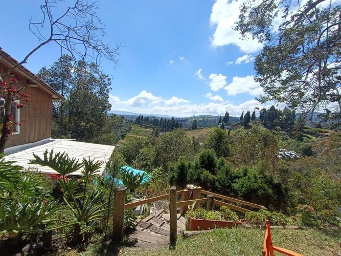 Finca en  Arriendo en La hondita, Guarne - Miniatura 18