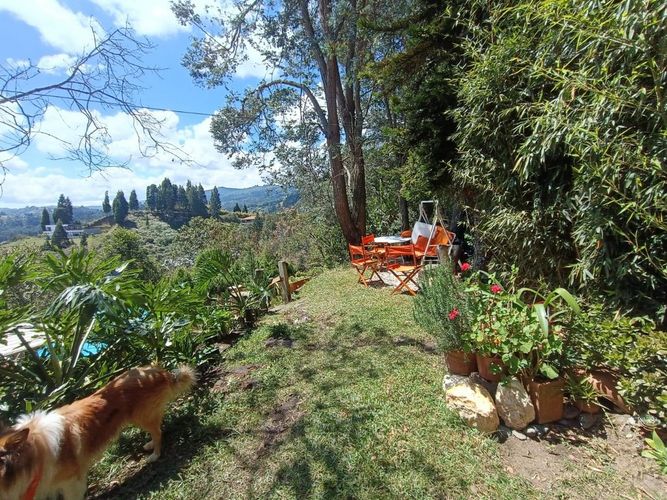 Finca en  Arriendo en La hondita, Guarne - Miniatura 19