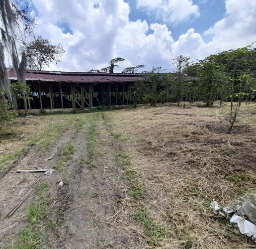 Finca en  Venta en La bella, Pereira - Miniatura 2