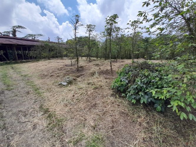 Finca en  Venta en La bella, Pereira - Miniatura 3