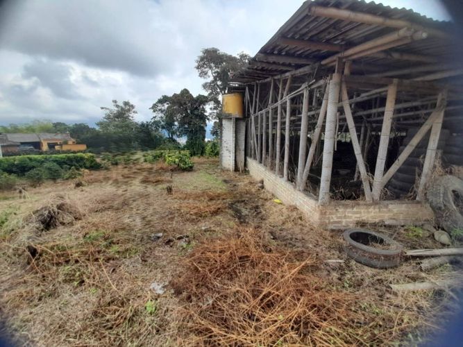 Finca en  Venta en La bella, Pereira - Miniatura 7