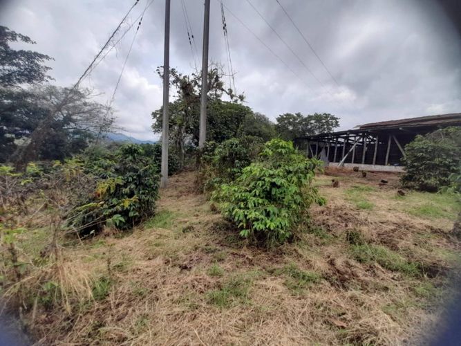 Finca en  Venta en La bella, Pereira - Miniatura 8