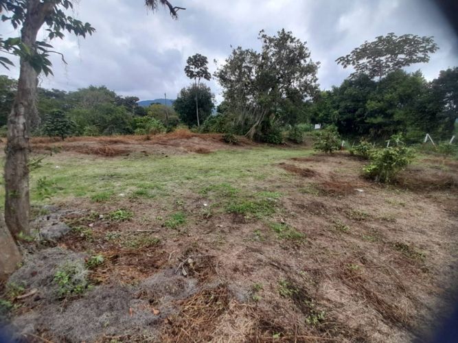 Finca en  Venta en La bella, Pereira - Miniatura 9