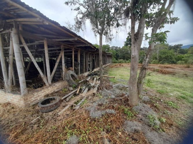 Finca en  Venta en La bella, Pereira - Miniatura 10