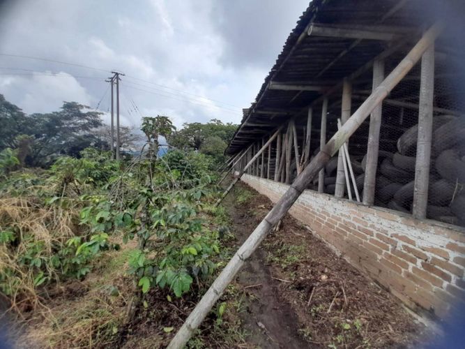 Finca en  Venta en La bella, Pereira - Miniatura 11
