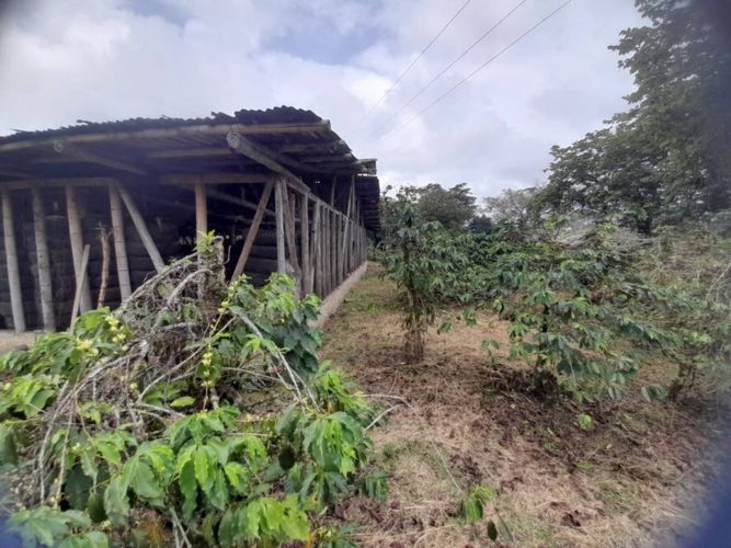 Finca en  Venta en La bella, Pereira - Miniatura 12