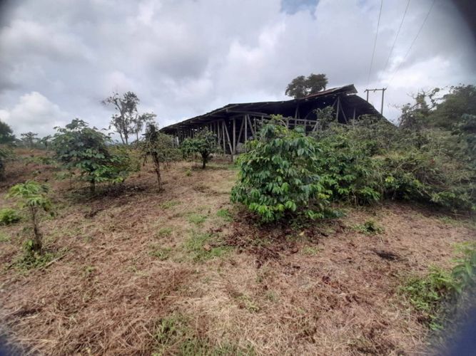 Finca en  Venta en La bella, Pereira - Miniatura 14