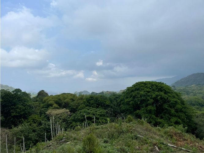 Finca en  Venta en Santa marta - Miniatura 3
