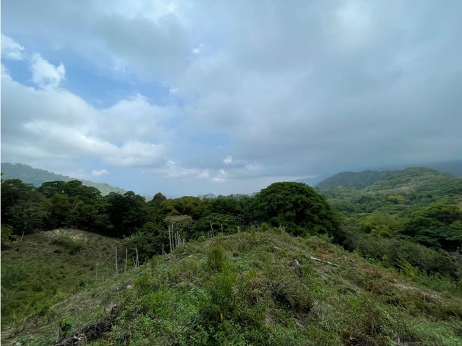 Finca en  Venta en Santa marta - Miniatura 4