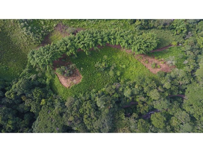 Finca en  Venta en Santa marta - Miniatura 6