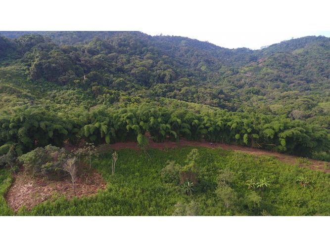 Finca en  Venta en Santa marta - Miniatura 7