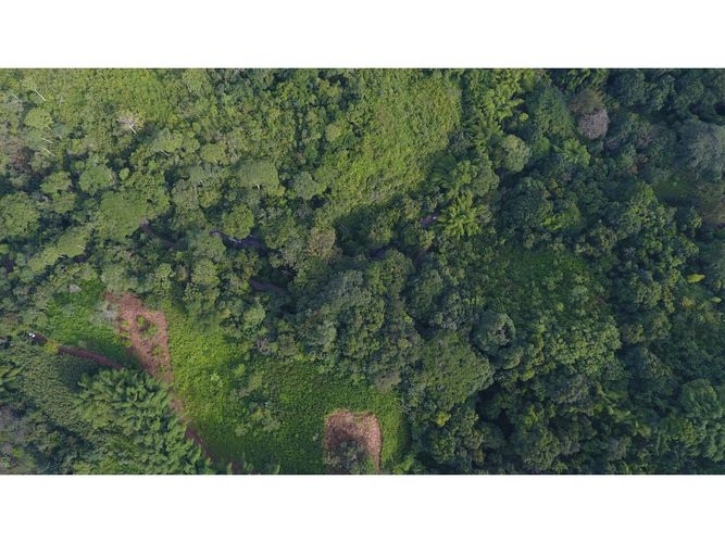 Finca en  Venta en Santa marta - Miniatura 8