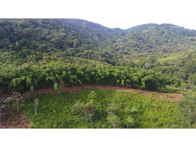 Finca en  Venta en Santa marta - Miniatura 10