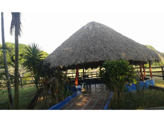 Finca en  Arriendo en Mahates - Miniatura 3