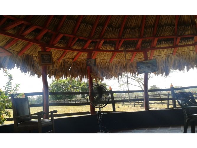 Finca en  Arriendo en Mahates - Miniatura 4