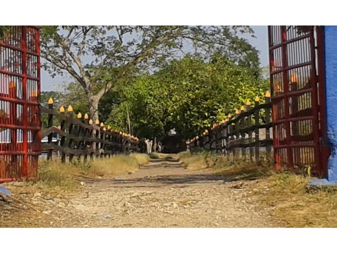 Finca en  Arriendo en Mahates - Miniatura 6
