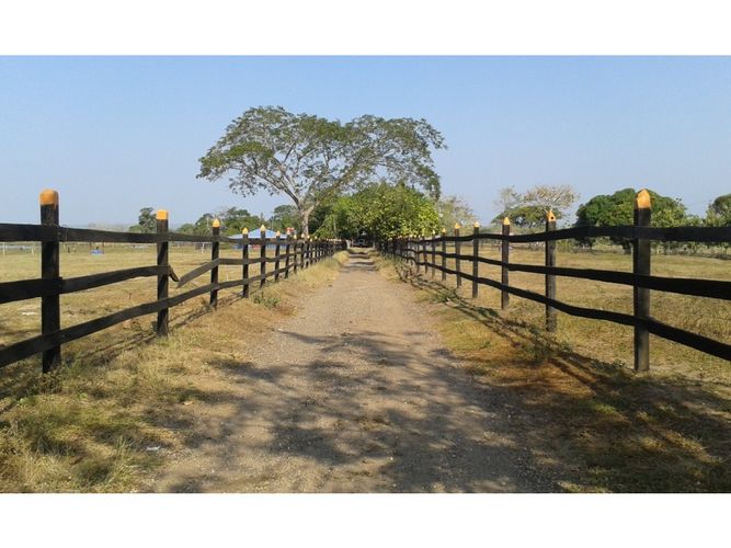 Finca en  Arriendo en Mahates - Miniatura 7