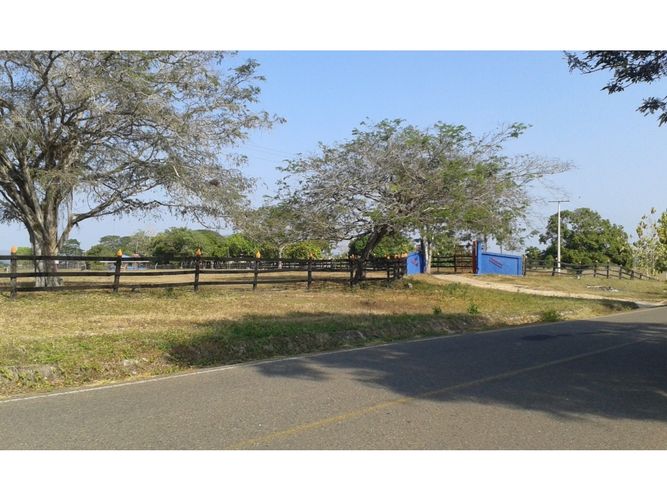 Finca en  Arriendo en Mahates - Miniatura 8